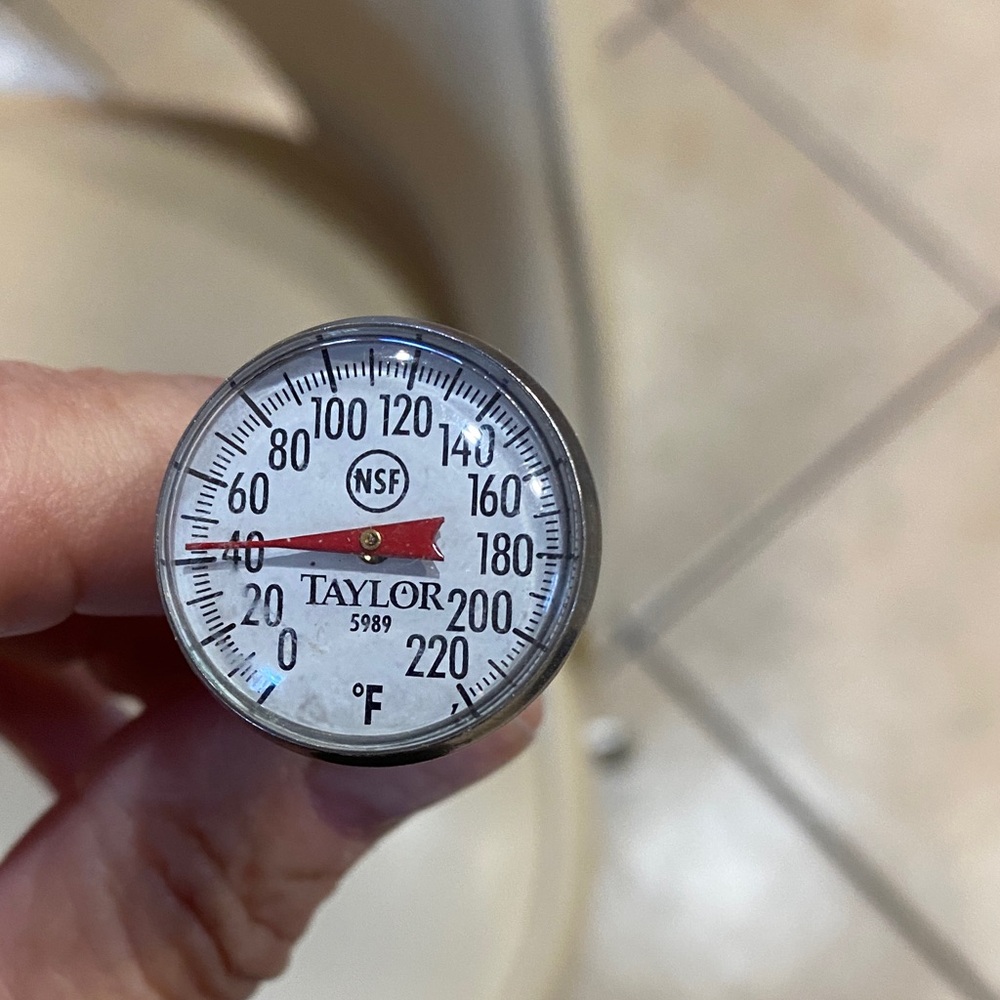 Taylor Stainless Steel Thermometer with Red Needle